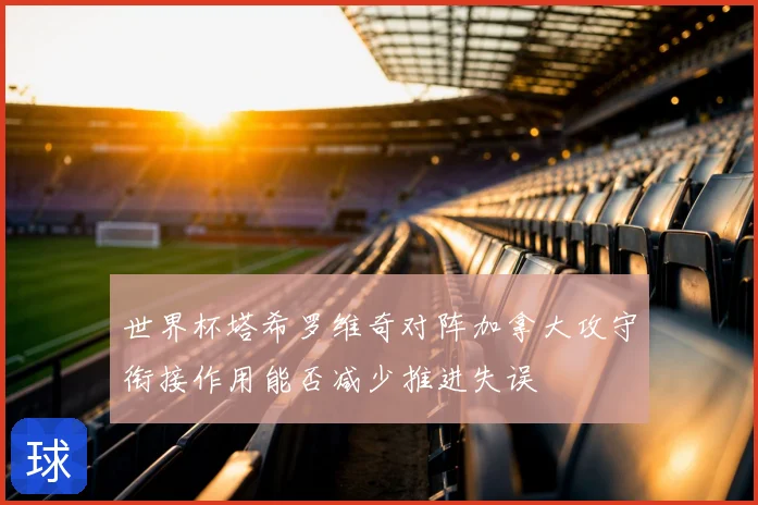 世界杯塔希罗维奇对阵加拿大攻守衔接作用能否减少推进失误