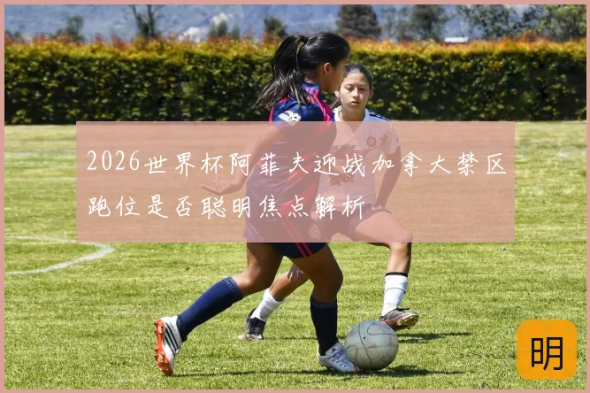 2026世界杯阿菲夫迎战加拿大禁区跑位是否聪明焦点解析